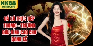 Đá Gà Trực Tiếp Thomo - Trường Đấu Đỉnh Cao Cho Danh Kê