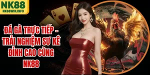 Đá Gà Trực Tiếp - Trải Nghiệm Sư Kê Đỉnh Cao Cùng NK88