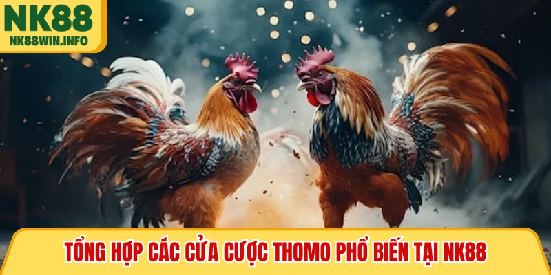 Tổng hợp các cửa cược Thomo phổ biến tại NK88